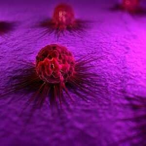 Certificate Course in Cancer Biology