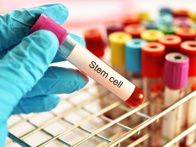 Stem Cell Certification Course